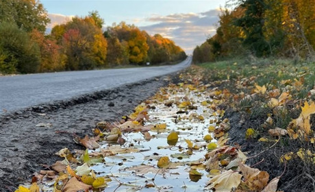 Свята та пам’ятні дати листопада 2025 року — календар подій