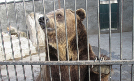 «Дважды в изоляции». Как живут в пору карантина зоопарки, где любили бывать мелитопольцы