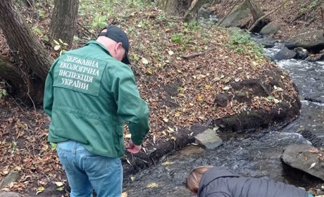 У річці на Звягельщині виявили значне перевищення забруднюючих речовин