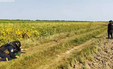 В полі на Звягельщині місцевий житель знайшов авіаційну бомбу