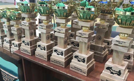 С узбекского этапа кубка мира по мас-рестлингу мелитопольцы привезли... деревянные медали и кубки