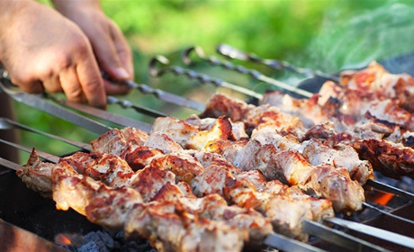 Шампуры: как выбрать лучший вариант