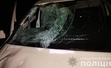 Аварія на трасі "Мерефа-Павлоград": на Лозівщині під колесами іномарки загинув пішохід