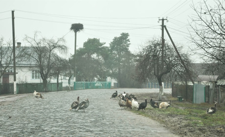 За 28 км від Сарн: як живе село Одринки