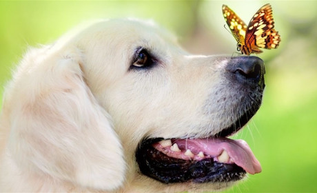 Чи повернеться літо? Прогноз погоди від Наталки Діденко