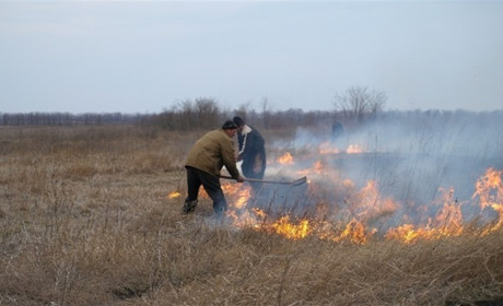 Верховна Рада ухвалила нові штрафи: спалив листя – 30600 грн, знищив рослинність -153000 