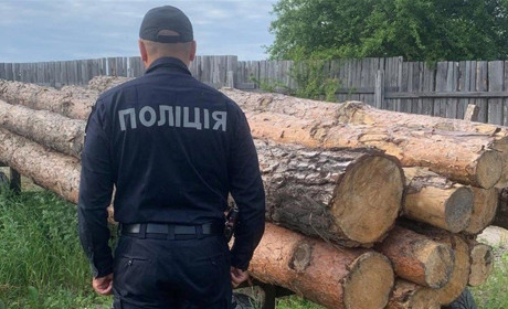 У Сарненському районі місцеві жителі крали деревину з лісгоспу: що відомо