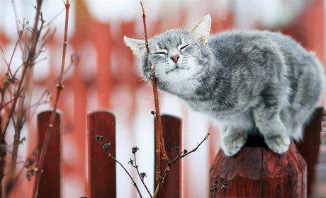 Ночі ще будуть морозними, вдень - до 13 тепла: прогноз погоди