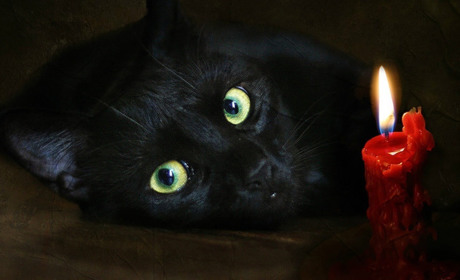 Як споживачам Білопільщини дізнатися про планові вимкнення світла за своєю адресою