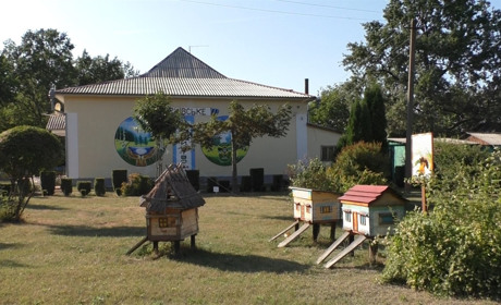 Учні Юрківського НВК проводять уроки «просто  неба» на екологічній стежці Юрківського лісництва
