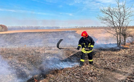 Палити чи не палити: пожежі в екосистемах на Уманщині та шкода природі. Коментарі ДСНС та еколога