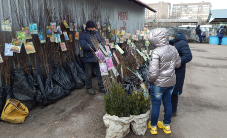 «Напишіть, що м’ясний павільйон торгує й надалі торгуватиме». Репортаж із недільного базару
