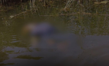 Трагічний випадок у Ніжині: у водоймі потонула 44-річна жінка