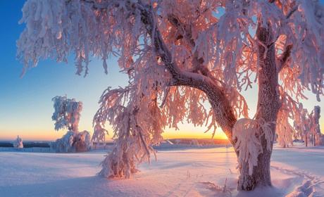 Ожеледиця і ранкові тумани: якою буде погода на Сумщині та в Україні в найближчі дні