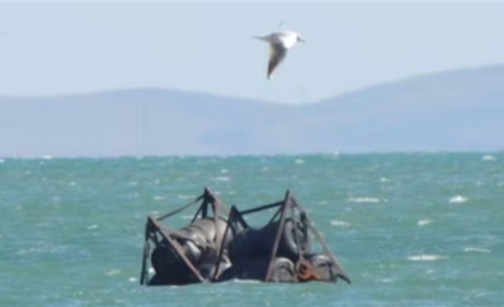 Загородження з Кримського мосту віднесло до Керчі