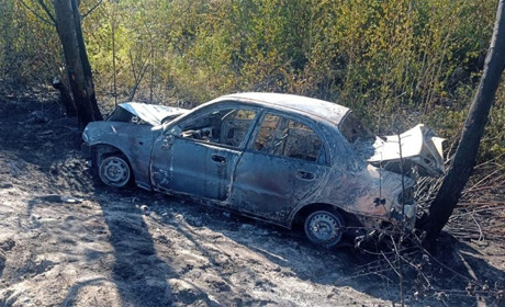 ДТП на Звягельщині: перекинувся та спалахнув автомобіль