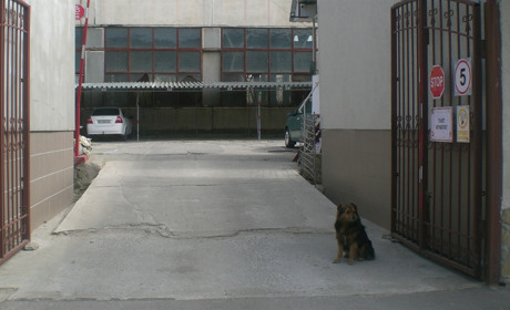 Коли в Новій Каховці відкриють ринки