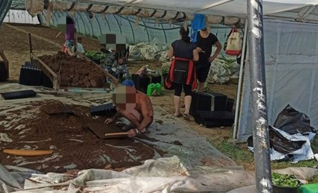 Нелегали на полях