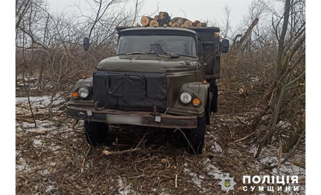Білопільські поліцейські викрили чоловіків у незаконному порубі лісу