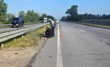 Водій вантажівки збив чоловіка на трасі та втік у напрямку Звягеля
