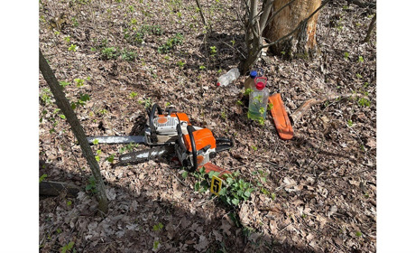 На Білопільщині поліцейські задокументували факт незаконної порубки лісу