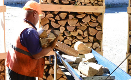 Як у Корюківському лісгоспі люди працювали на початку війни та що відбулося через пів року