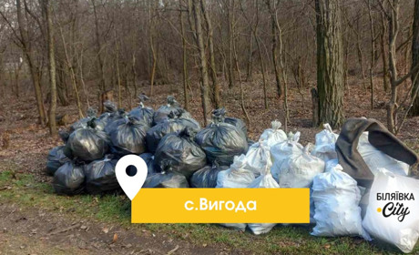 У селі Вигода троє людей власноруч за вихідні вичистили від сміття 1,5 км залізничної лісосмуги