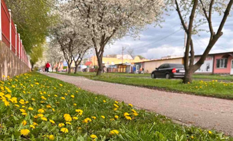 Погода у Старокостянтинові на 15-21 квітня: середина весни принесе відчутне похолодання