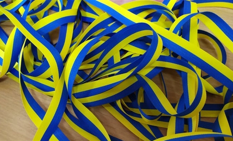 Херсонські бібліотеки готові до протесту