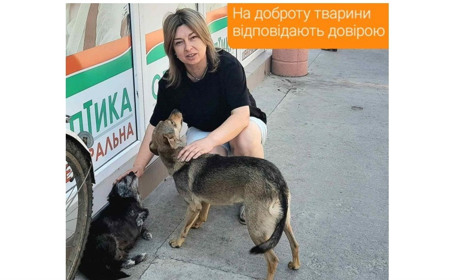 Безпритульні тварини – проблема, робота над якою в Кодимі успішно почалася та потребує продовження