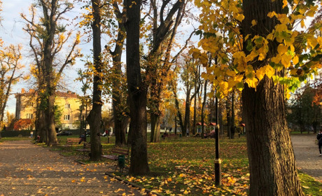Куди вирушити в Дрогобичі на осінню фотосесію: ТОП-5 локацій