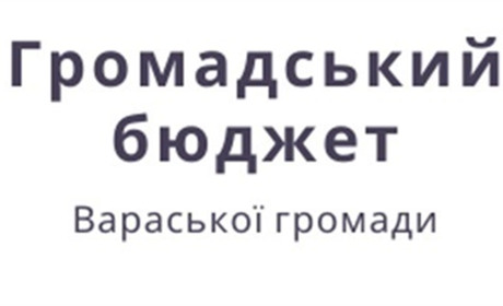 Волонтери продовжують популяризувати Громадський бюджет серед жителів громади