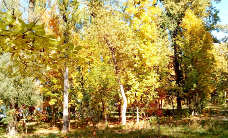 Бабине літо повертається