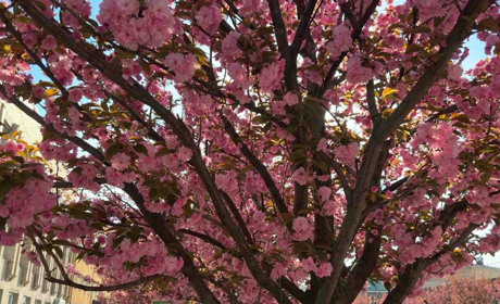 Погода у Старокостянтинові на 5-11 травня: прохолодно, хмарно і з дощами