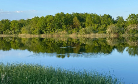 Держреєстратора на Звягельщині підозрюють у незаконному переоформленні державної землі