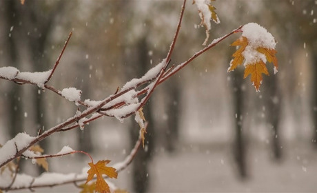Как провести выходные в Мелитополе 1-2 декабря