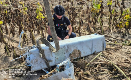 На Київщині знайшли залишки ракети Х-69 на соняшниковому полі