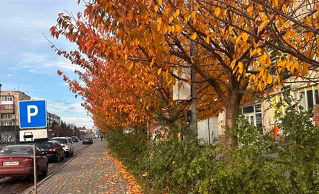 Погода у Старокостянтинові на 10-16 листопада: дощовий початок тижня змінять сухі, але похмурі дні