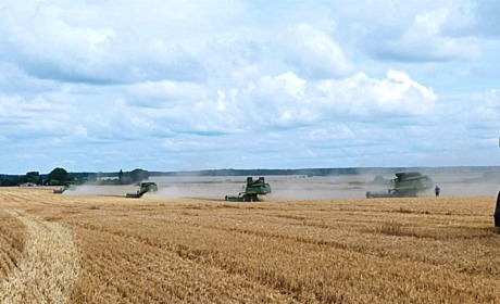 Аграрії нашого краю завершили збір ранніх зернових