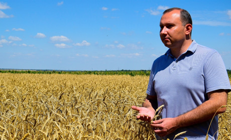 Сергій Северин: Не все що в зеленій обгортці - "Слуга народу"