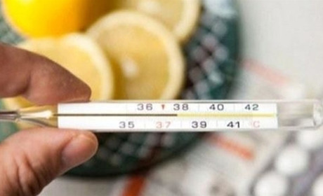 На Звягельщині на 33,5% зросла кількість хворих на ГРВІ лише за тиждень