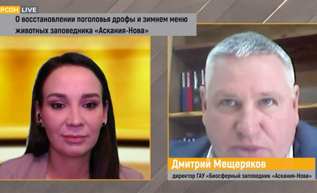 Правоохоронці повідомили про підозру окупаційному директору заповідника «Асканія-Нова» на Херсонщині