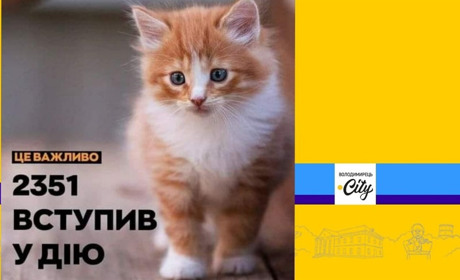 Новий етап захисту тварин: закон 2351 вступив в силу завдяки зоозахисникам