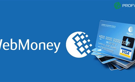 Пополнение кошелька Webmoney. Обзор популярных методов