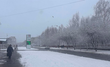 Ціна тижня: скільки коштує бензин, дизель і газ на АЗС у Старокостянтинові