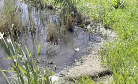 В Усатівській громаді стічні води з АЗС забруднили землю: порушник відшкодував збитки