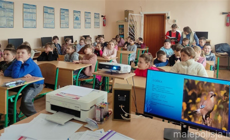 Нагодуй птахів взимку: школярі Улашанівського ліцею долучилися до важливої справи