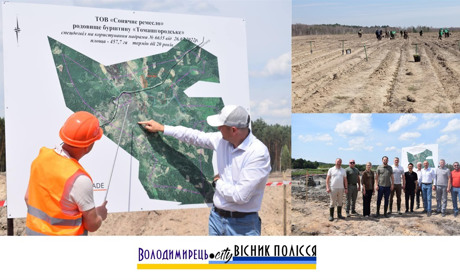 Відкрили на Рокитненщині нове родовище видобутку бурштину. А що на володимирецькому?