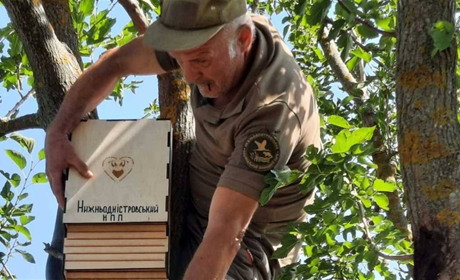 На екостежці Дністровія у Біляївці облаштували хатинку для кажанів: ідея нацпарку