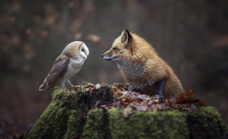 Прохолодний листопад... Якою буде погода на початку наступного тижня?